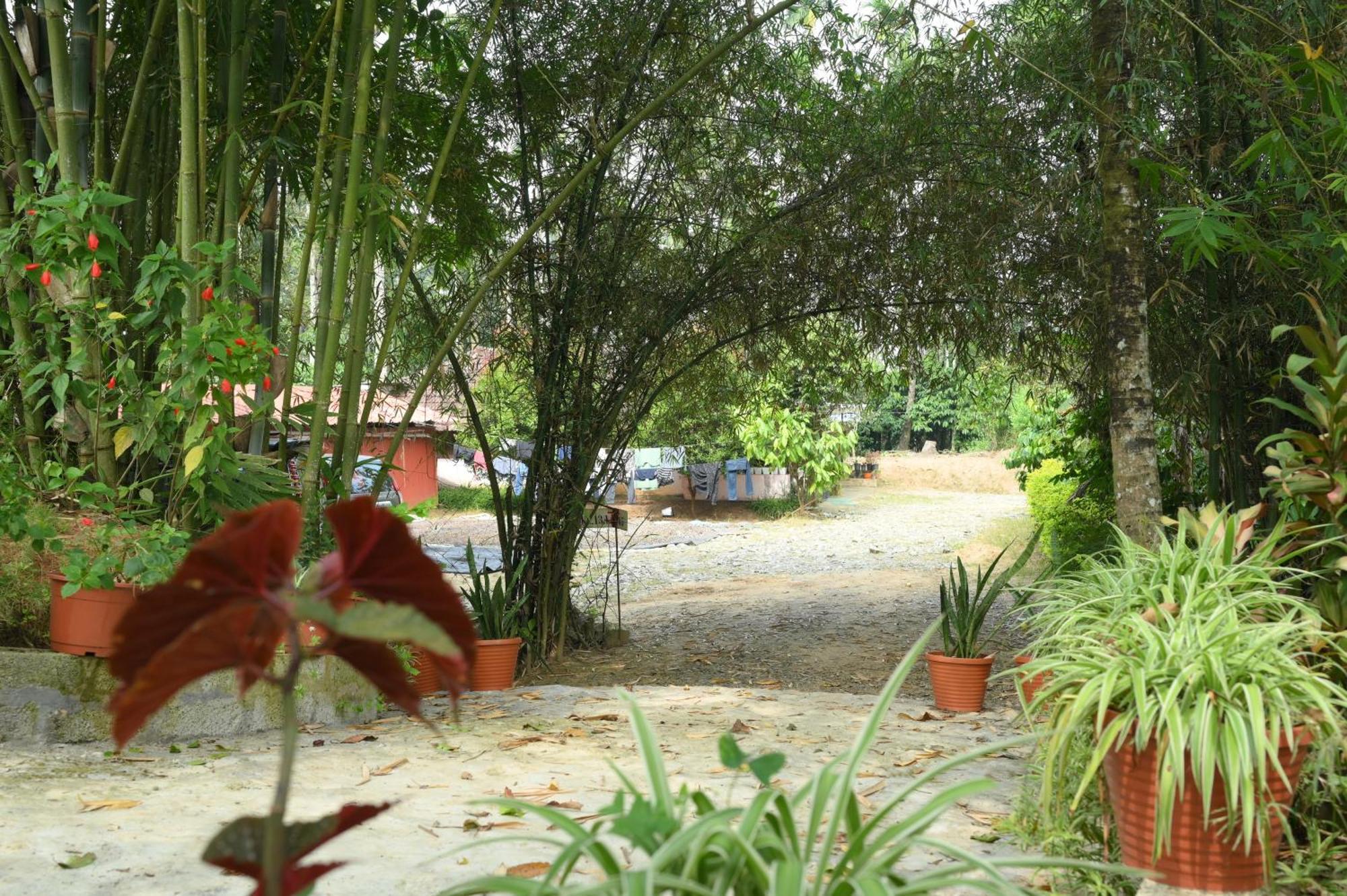 Coffee Island Resort Kaniyāmbetta Exterior foto